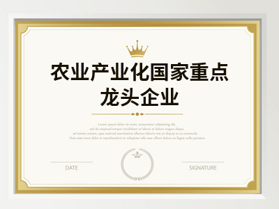 Z6·尊龙「中国区」官方网站